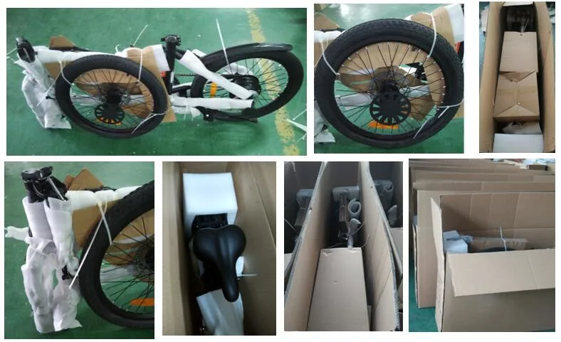 Hot Sell MID Drive Moutain E Bike 27.5 Inch 500W