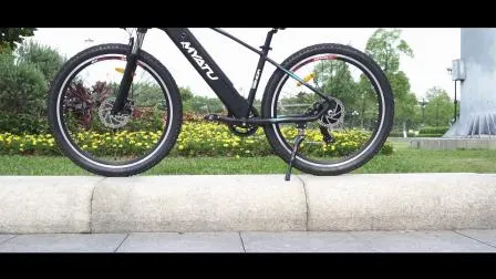 Hot Sell MID Drive Moutain E Bike 27.5 Inch 500W