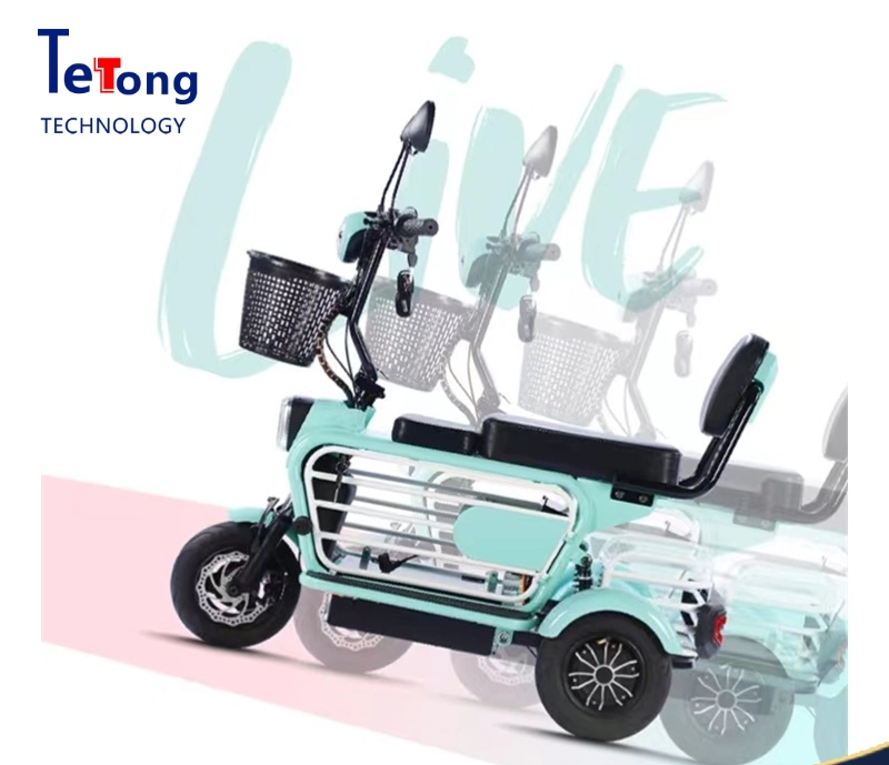 New Arrival Multi-Functional Electric Tricycle with Foldable Seat