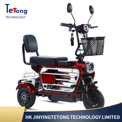 New Arrival Multi-Functional Electric Tricycle with Foldable Seat