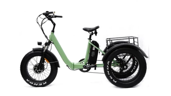 20 Inch Electric Bicycle Cargo Vehicle E-Bike Folding Tricycles