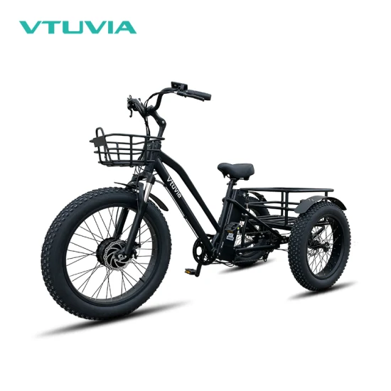 Fat Tire 30-35km/H Electr Trike Front and Rea Basket Food Delivery