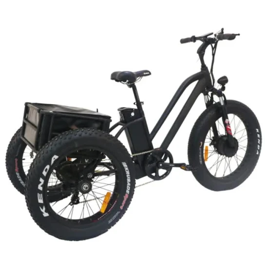 2021 Hot Sell Adult Trike 3 Wheel Electric Factoru Price5000 Watt Electric Trike or Motorcycle or Higherelectric 3 Wheel Golf Trike with Fat Tyres